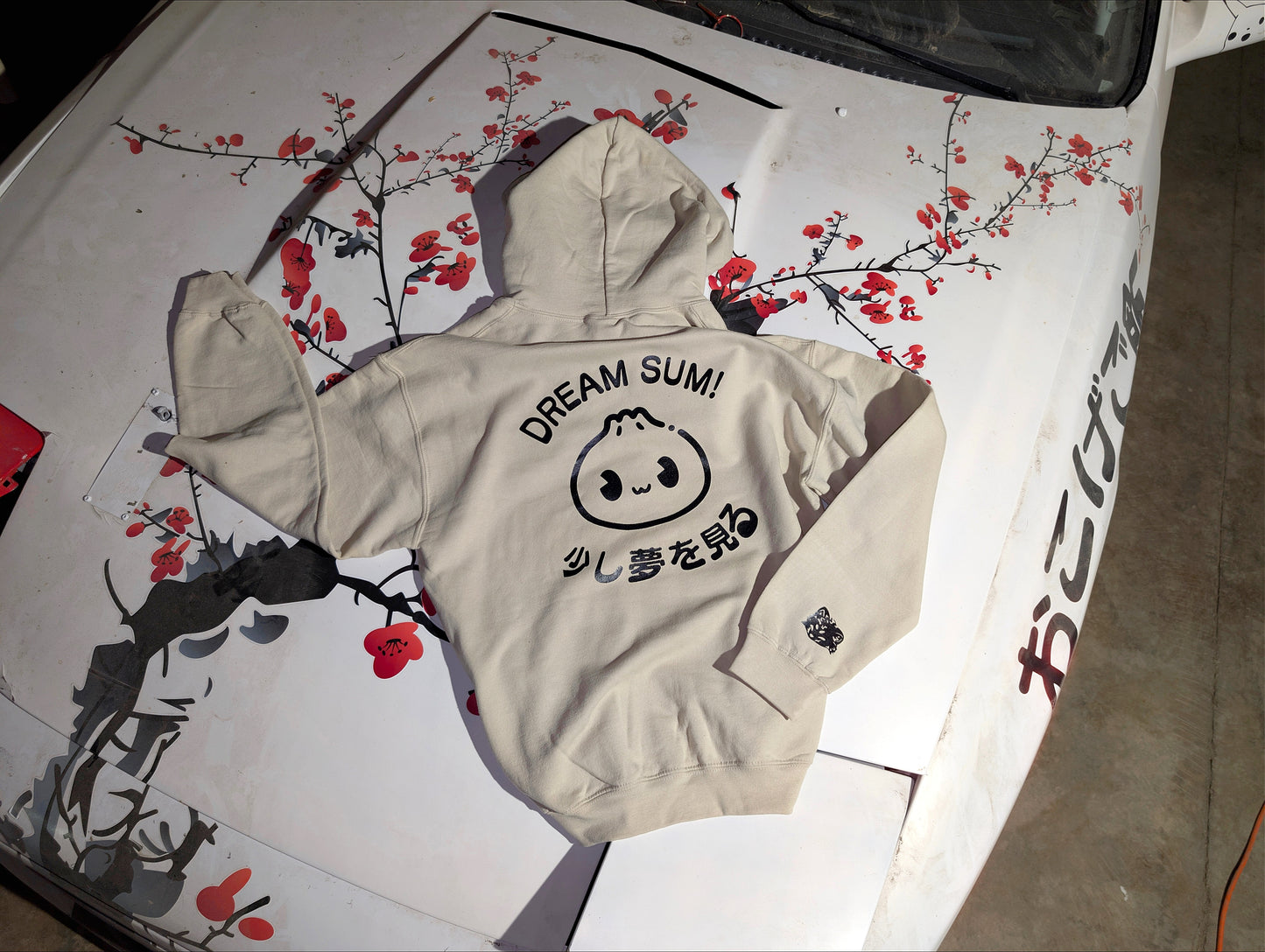 "Dream Sum!" Oversized Hoodie